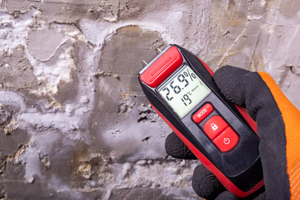 Best Health and Safety Mold Remediation in Hornsby Bend, TX