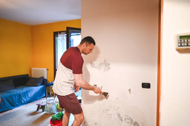 Best Bathroom Mold Remediation in Hornsby Bend, TX